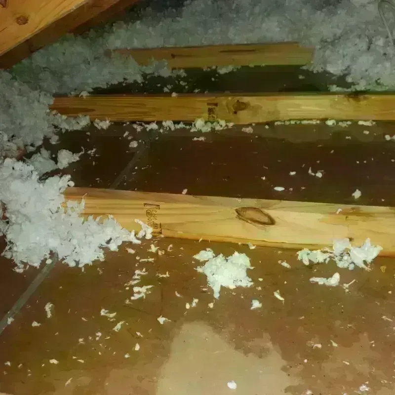 Attic Water Damage in Kelseyville, CA