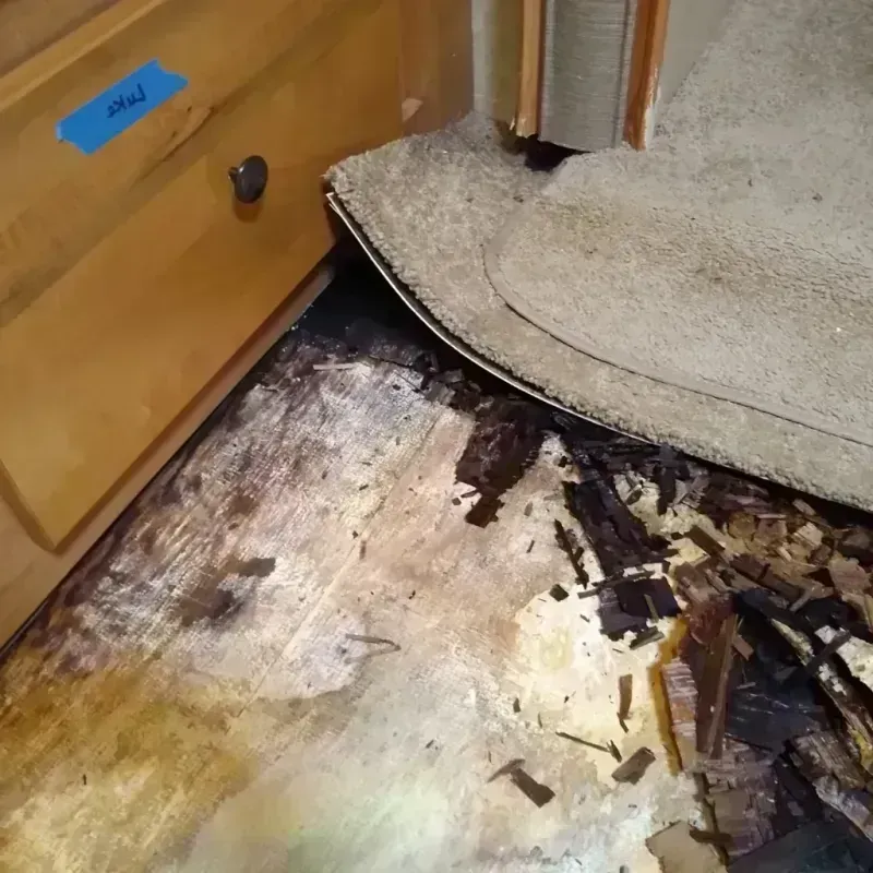 Wood Floor Water Damage in Kelseyville, CA